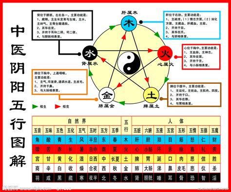 西方五行